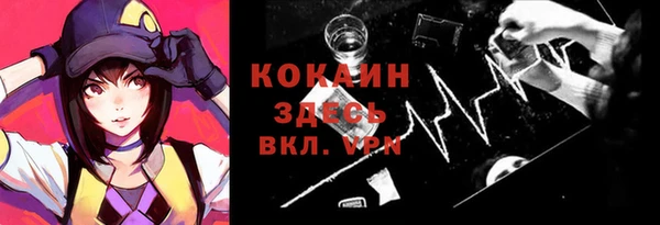 молекула духа Белоозёрский