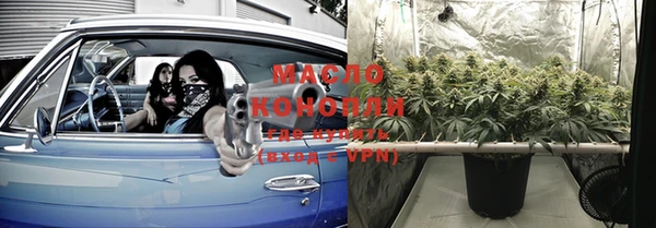 молекула духа Белоозёрский