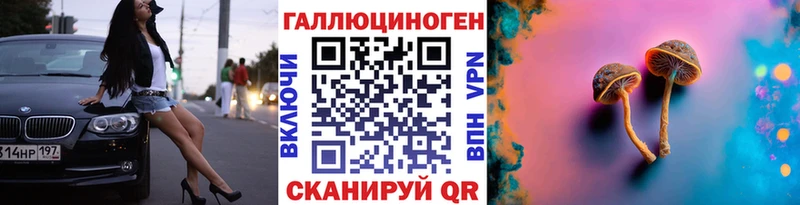 Галлюциногенные грибы Psilocybine cubensis Горячий Ключ