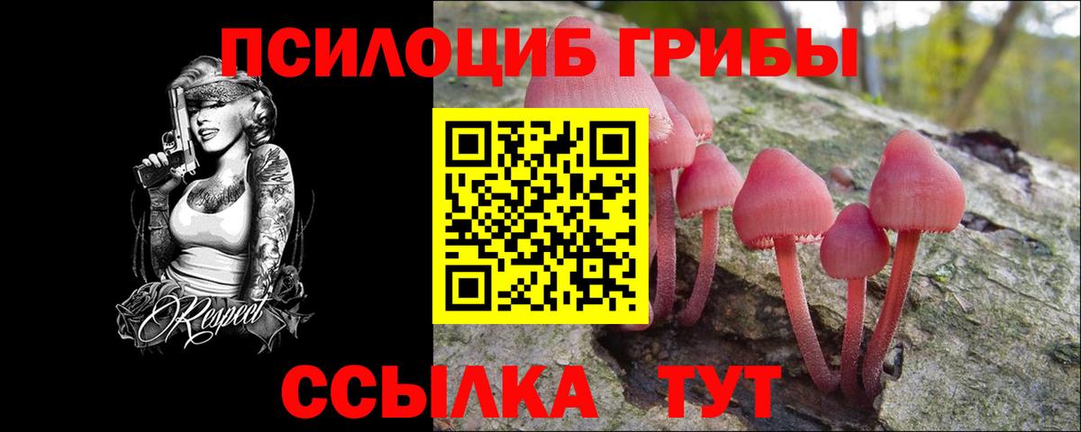 Псилоцибиновые грибы Psilocybe Горячий Ключ